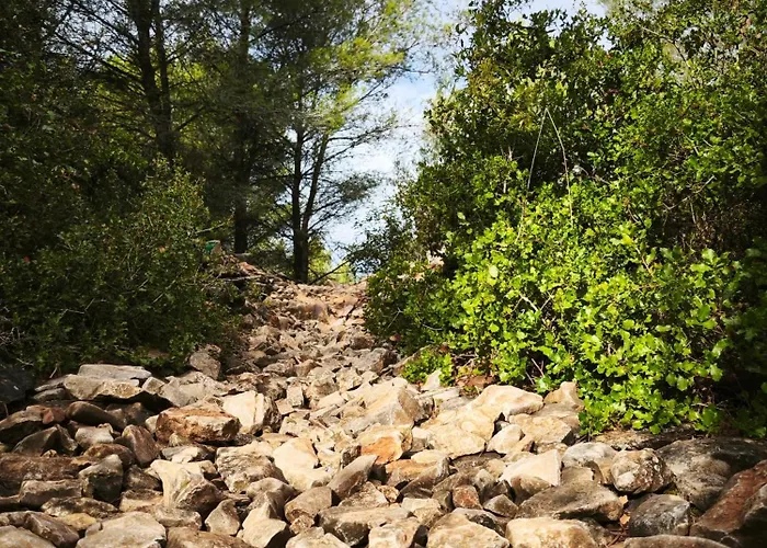 Nyaraló La Petite Escale *